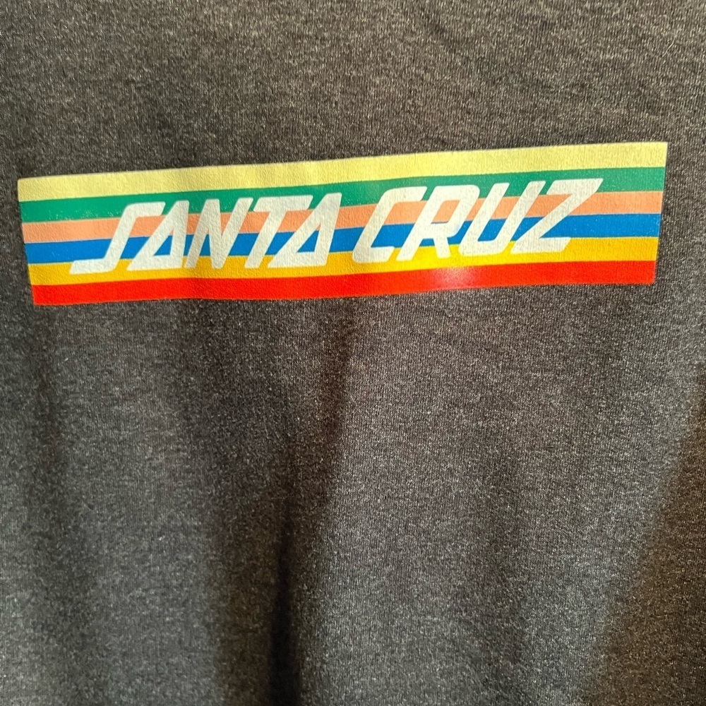 Santa Cruz Rainbow Pride Hoodie. The original. Gray with rainbow print. Size L.